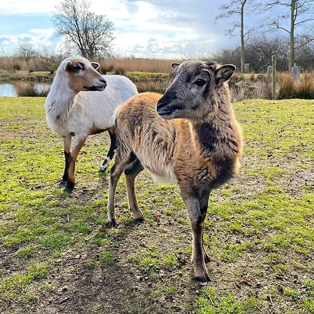 Nyaraló Stoertebeker Auf Dem Gut Am Wenkendorf